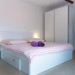 Joe Apartamento *