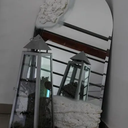 Apartment Joe
